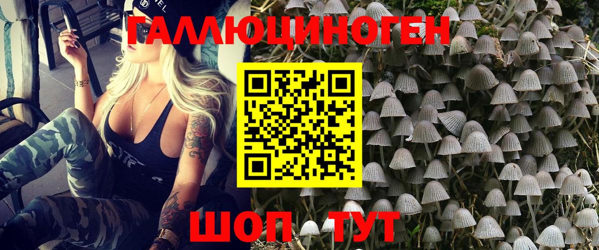 Псилоцибиновые грибы ЛСД  Вход с VPN  Псилоцибиновые грибы Magic Shrooms  Урюпинск 